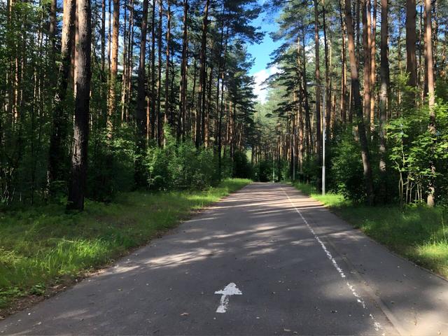 Roller Ski Track in Drazhne Entity photo 2