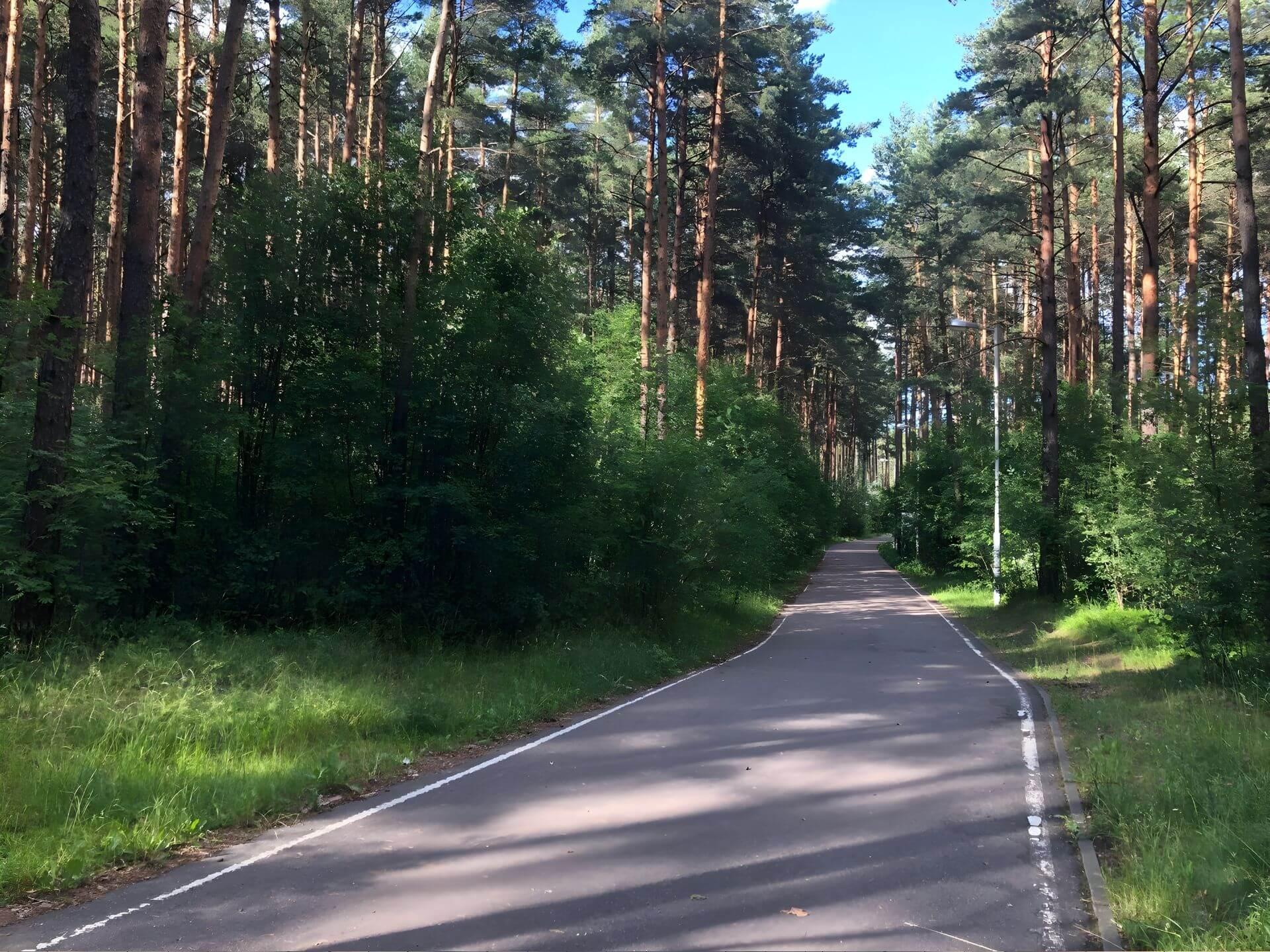 Roller Ski Track in Drazhne 1