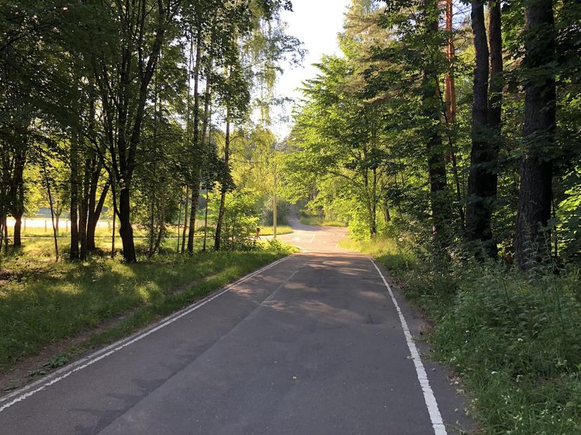 Green Meadow Roller Ski Track