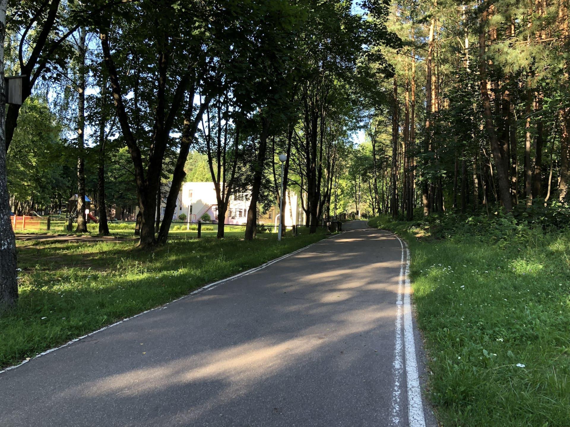 Green Meadow Roller Ski Track 2