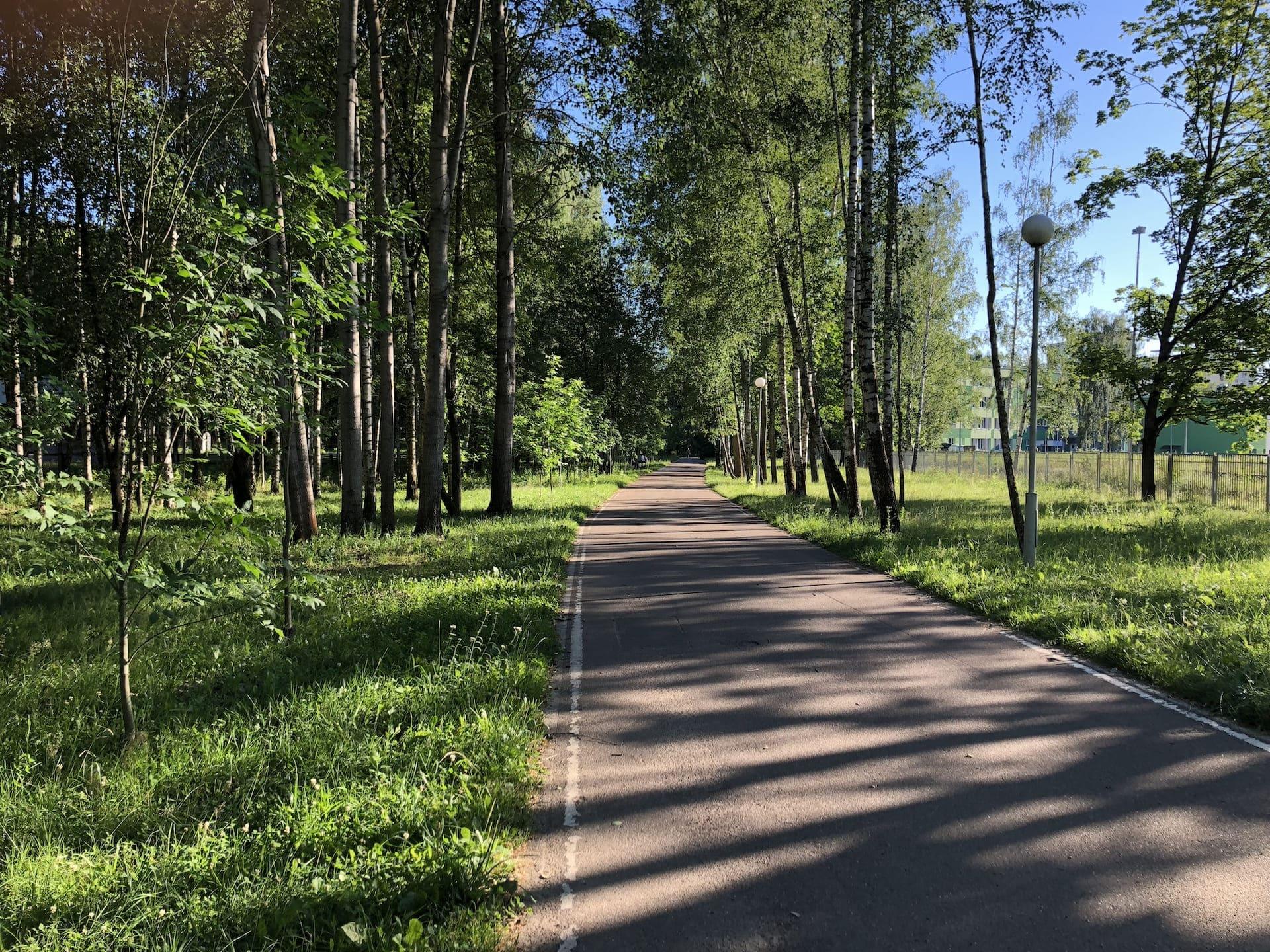 Green Meadow Roller Ski Track 3