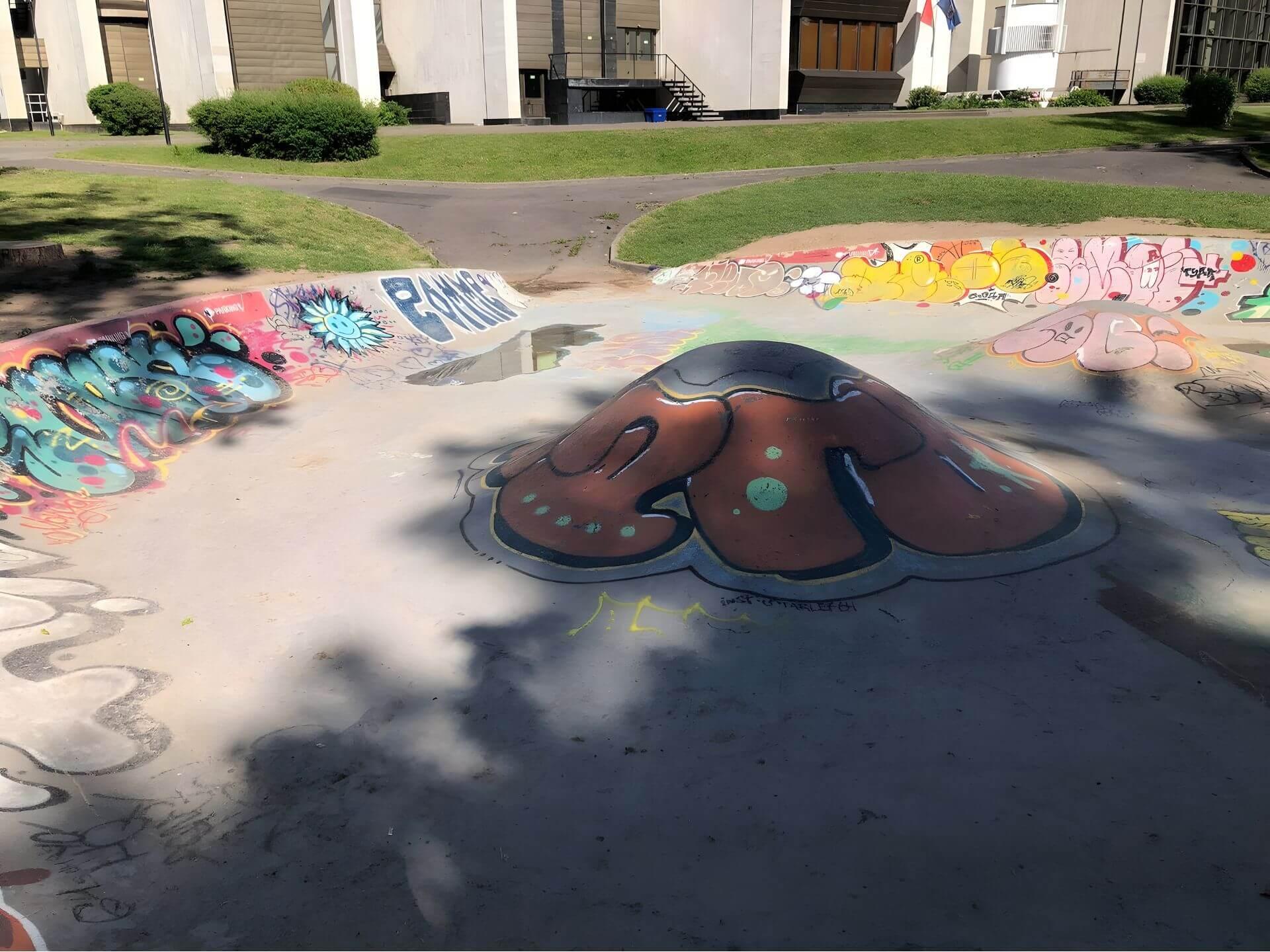 Skate Bowl near the Palace of Children and Youth 1