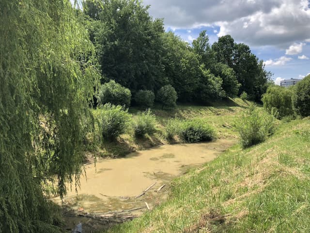 Парк на улице Есенина (Муравицкие холмы) Фото объекта 2