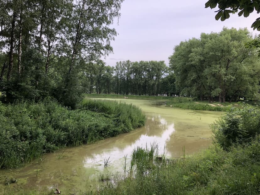 Kuntsovshchina Pond