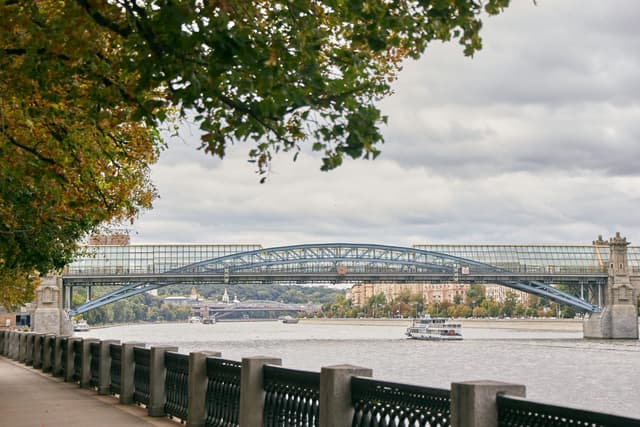 Andreevsky Bridge Entity photo 2