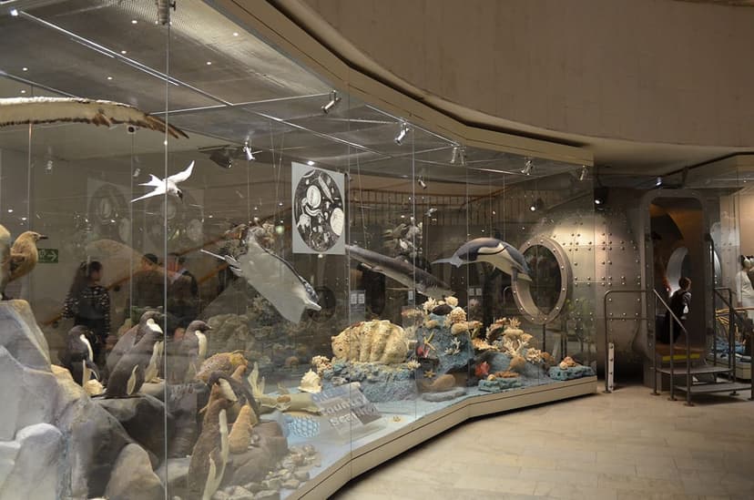 Дарвиновский музей